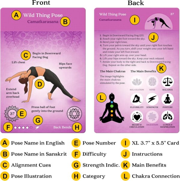 Asana Moon Premium Yoga Cards – Deck with Over 120 Yoga Poses – Yoga Sequencing Deck with Yoga Cues and Sanskrit Names for Beginners and Teachers – Unique Yoga Gift for Women or Any Yoga Lover