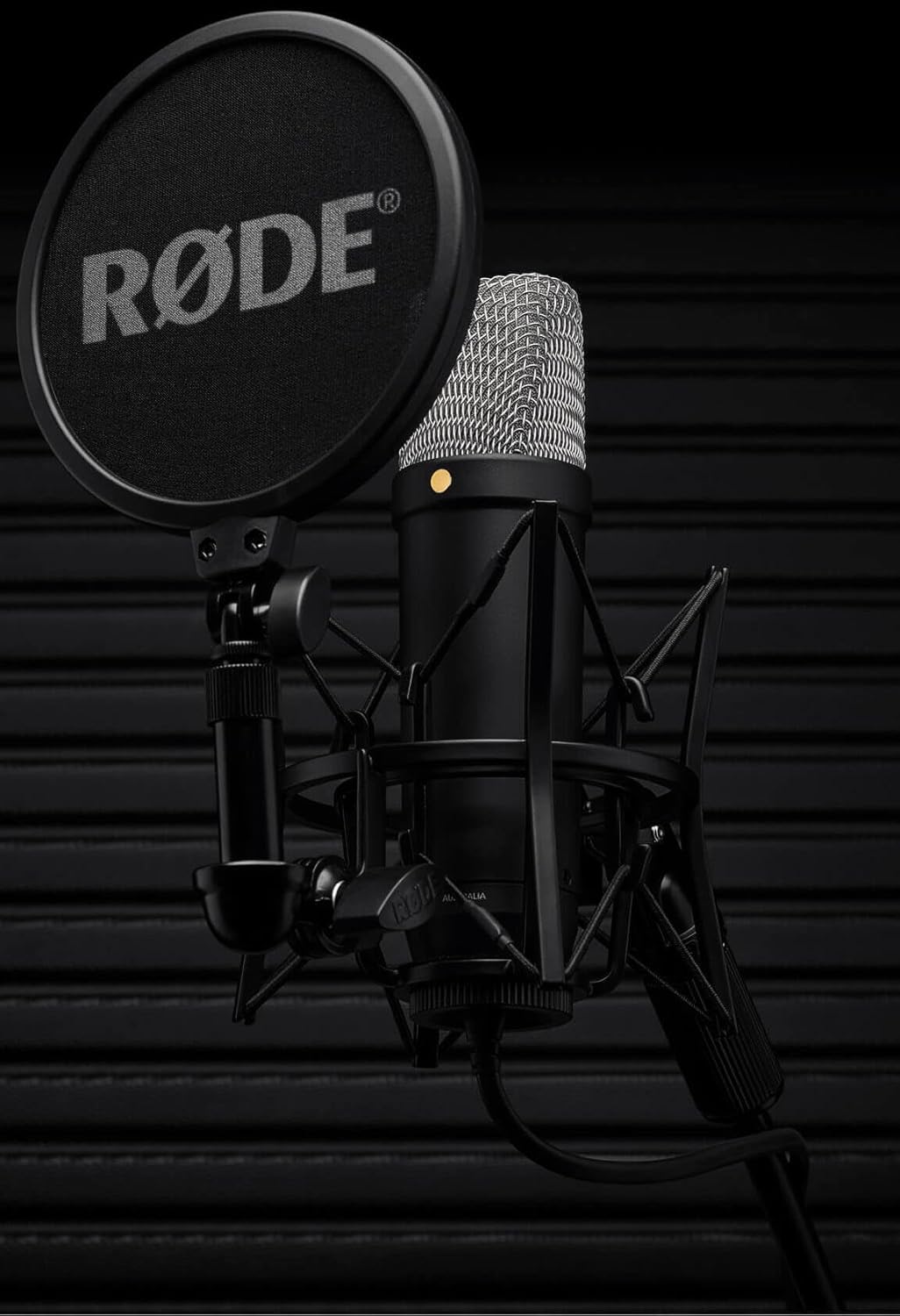 RØDE NT1 5th Generation Large-diaphragm Studio Condenser Microphone with XLR and USB Outputs, Shock Mount and Pop Filter for Music Production, Vocal Recording and Podcasting (Black)