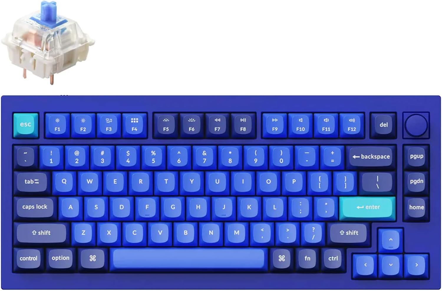 Keychron Q1 RGB Wired Custom Mechanical Keyboard, 75% Layout QMK/VIA Programmable Macro with Hot-swappable Gateron G Pro Blue Switch Double Gasket Compatible with Mac Windows Linux (Blue) -Version 2