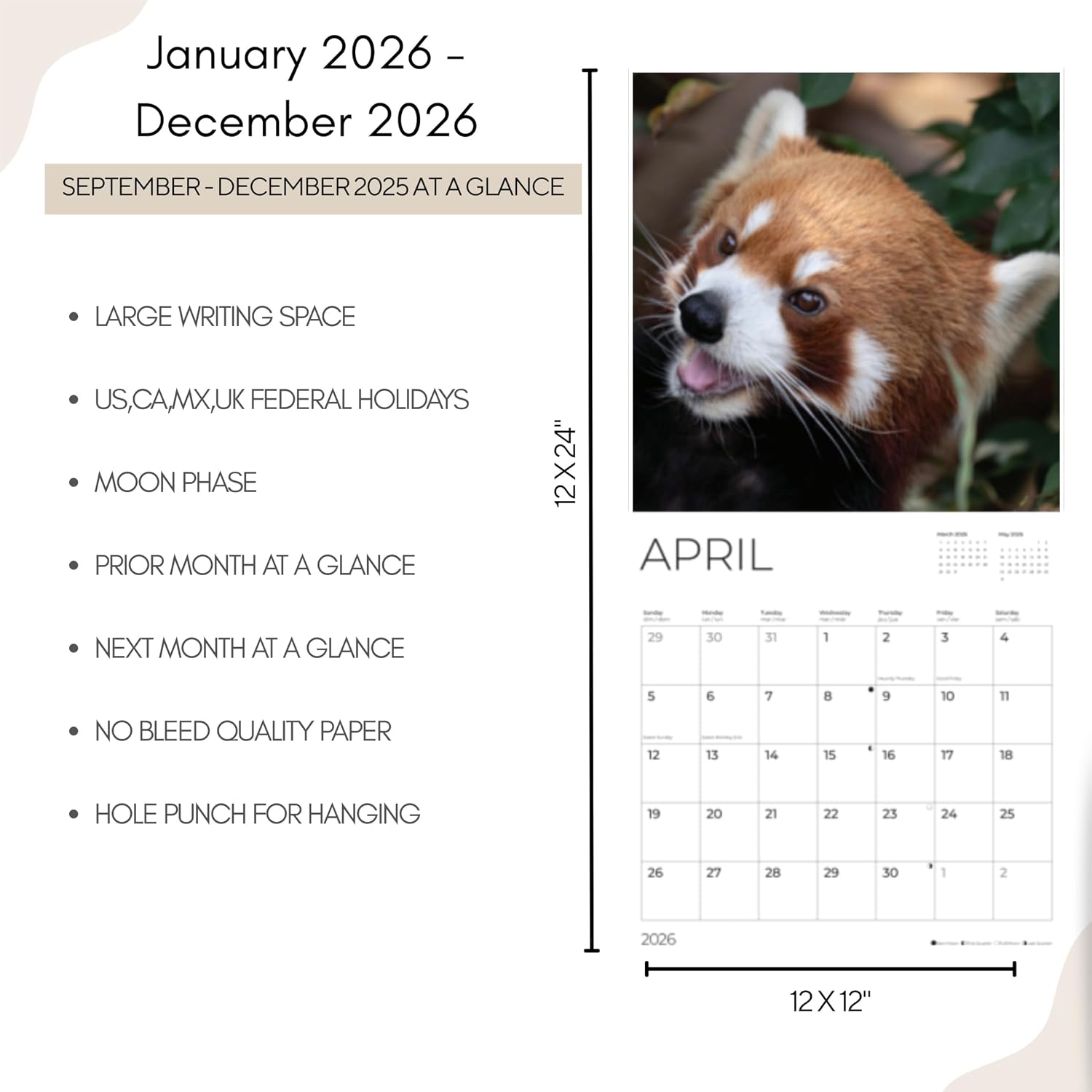 Red Panda Wall Calendar 2026 | 12" x 24" Open | Animal Calendar Photography Thick & Sturdy Paper for Planning | Office Kitchen Decor or Gift | Pacific Waters Press (Red Pandas)