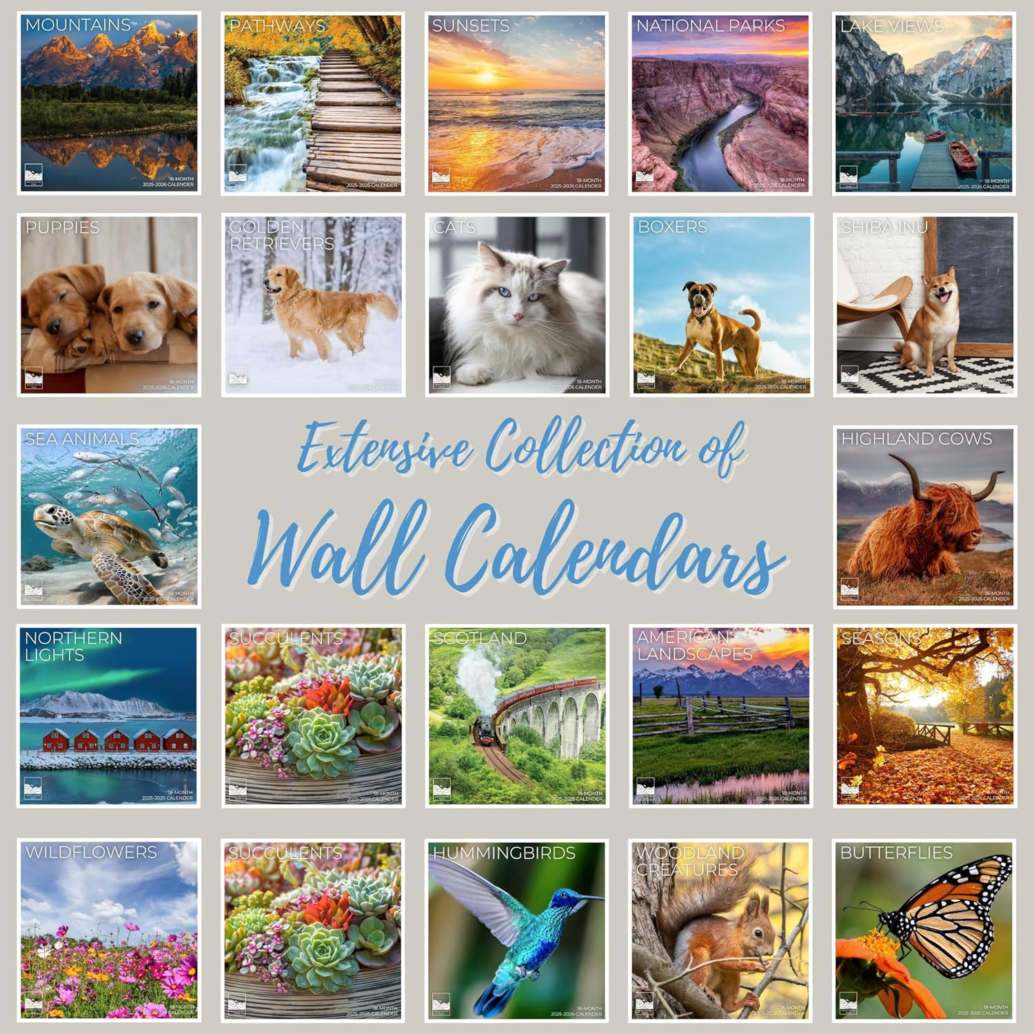 Red Panda Wall Calendar 2026 | 12" x 24" Open | Animal Calendar Photography Thick & Sturdy Paper for Planning | Office Kitchen Decor or Gift | Pacific Waters Press (Red Pandas)